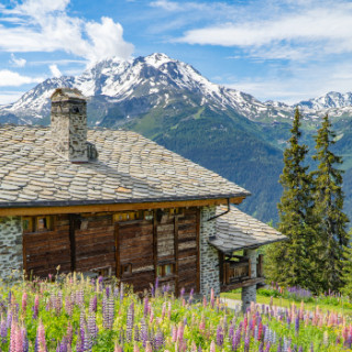 Great deals & Summer stays