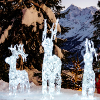 Offres spéciales Noël / Jour de l'An / Début janvier