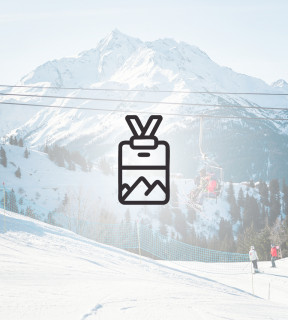 Ski pass