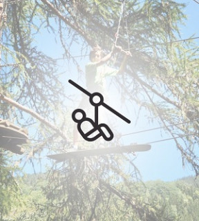Tree-Top Adventure
