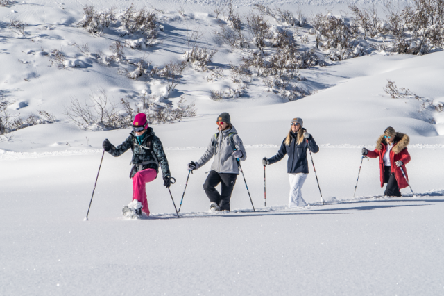 SNOWSHOEING