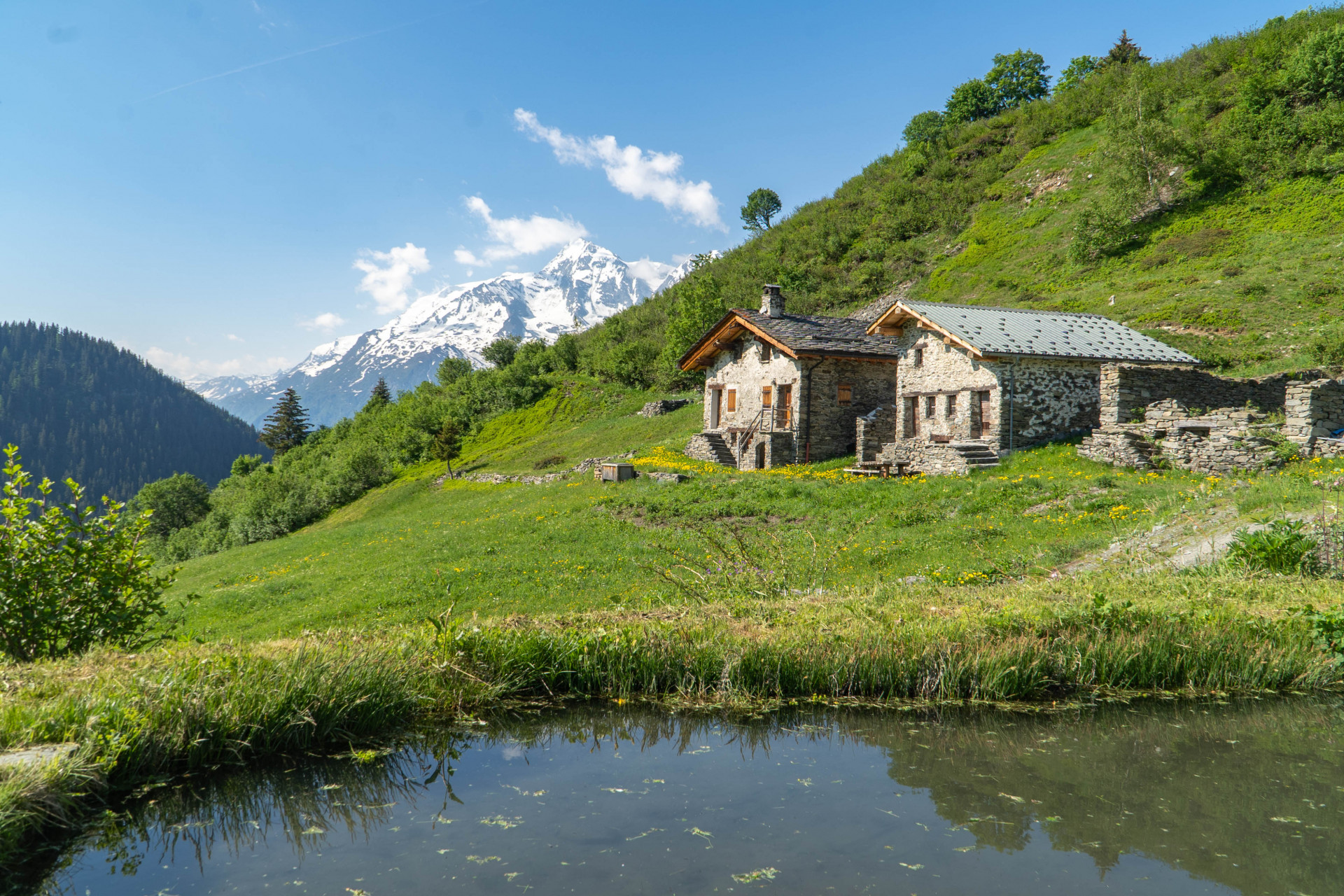 Rest and contemplation in the mountain, La Rosière Booking Service