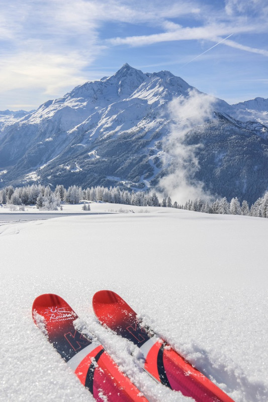 loc-de-mat-de-ski-949