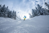 ski-en-foret-la-rosière