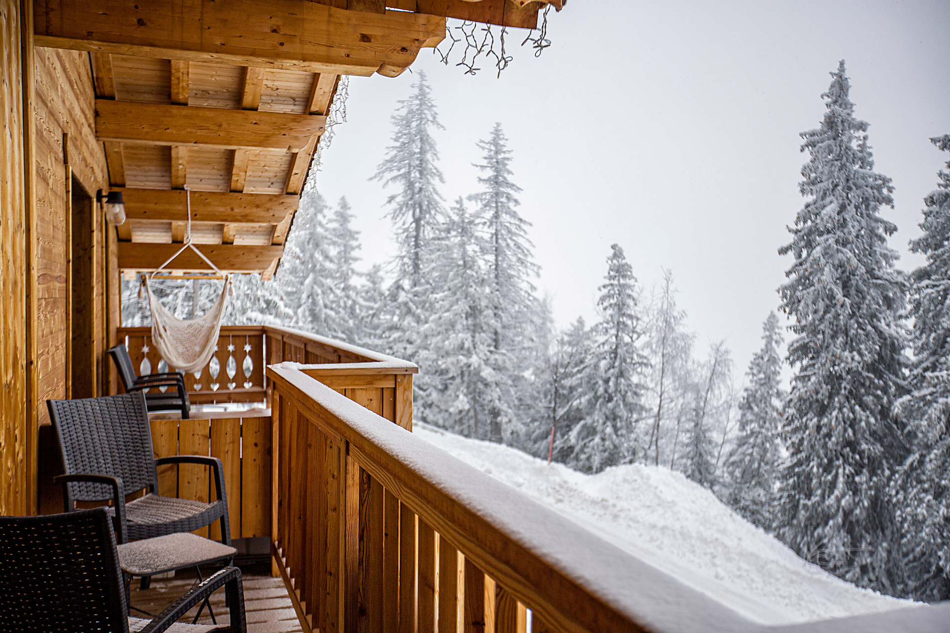 6v7a9727.jpeg 6v7a9727.jpeg