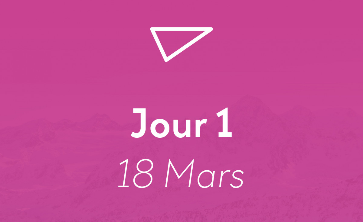 dd-vignetteingeniepackage2-4419427