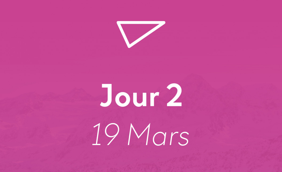 dd-vignetteingeniepackage3-4419428