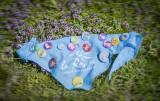 dsc01304-ps-3524547