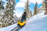 Sensations garanties à l'X-TREME luge de La Rosière !