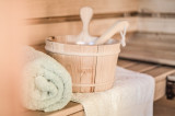 detail-sauna-residence-le-planica-la-rosiere