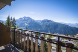 vue-du-balcon-chalet-le-tyrol-la-rosi-re-3970996
