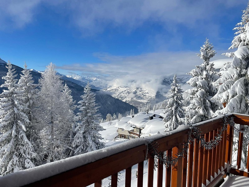 Vue balcon, Appartement Les Mélèzes, Chalet Les Airelles, La Rosière, vue 2