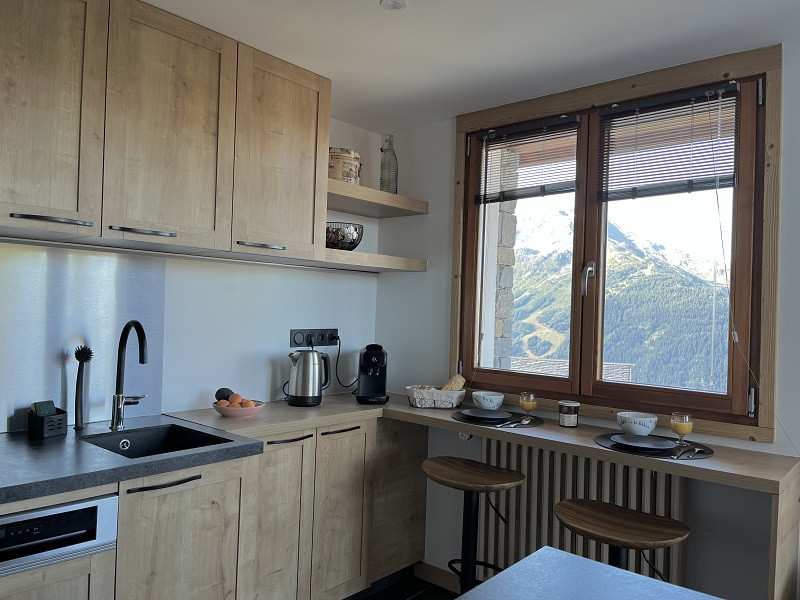 Cuisine, Appartement Les Mélèzes, Chalet Les Airelles, La Rosière, vue 2