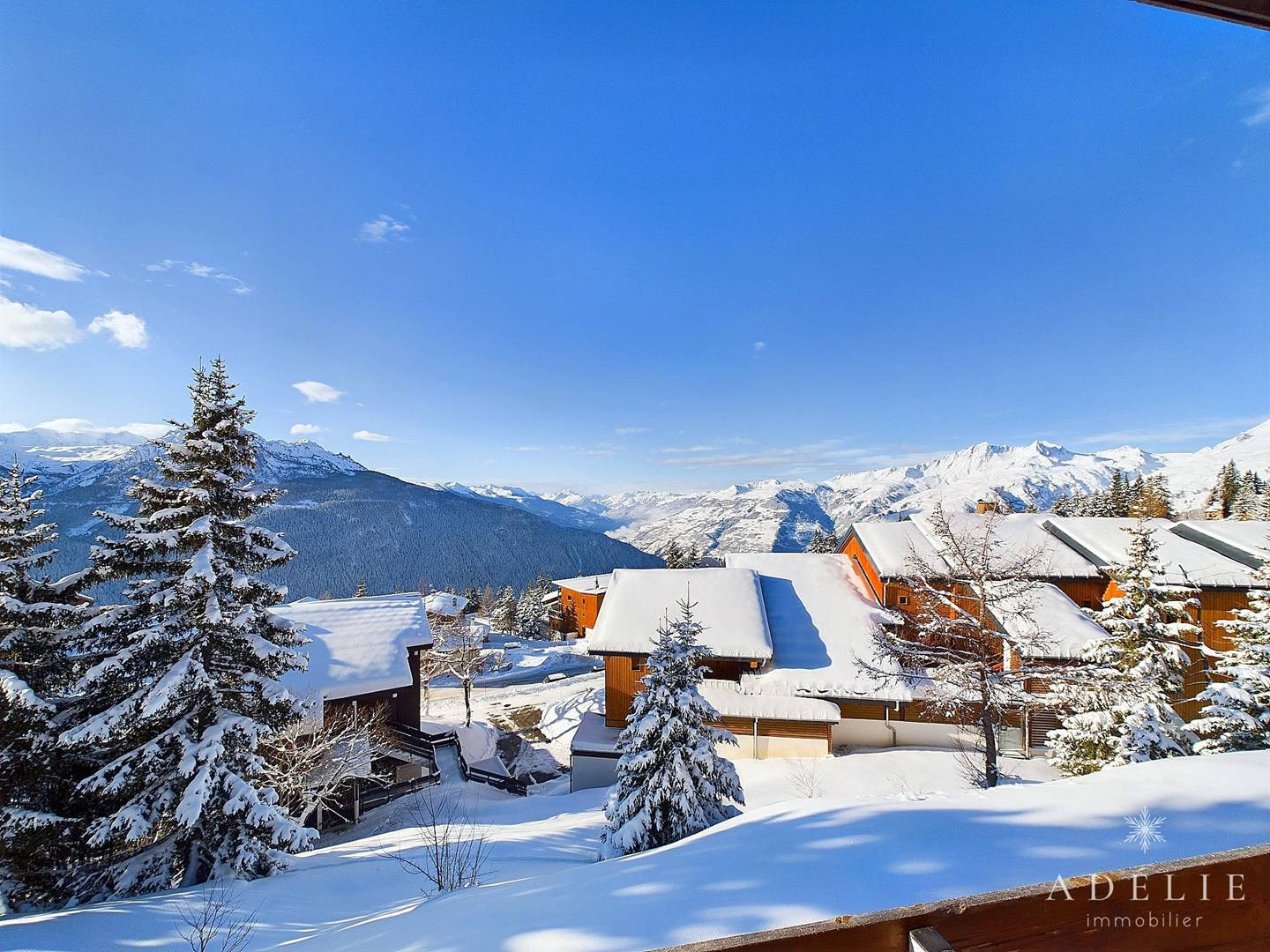 _clients_227370002_photos_109k_4513412 _clients_227370002_photos_109k_4513412