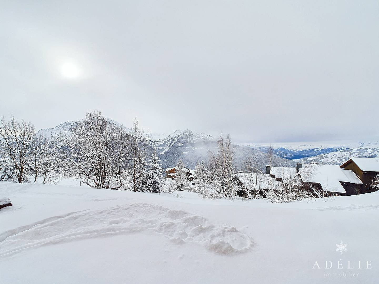 _clients_227370002_photos_17j_4216355