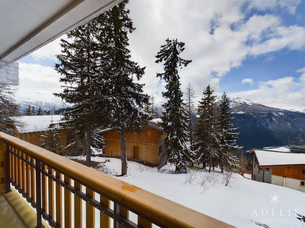 _clients_227370002_photos_196j_4599724