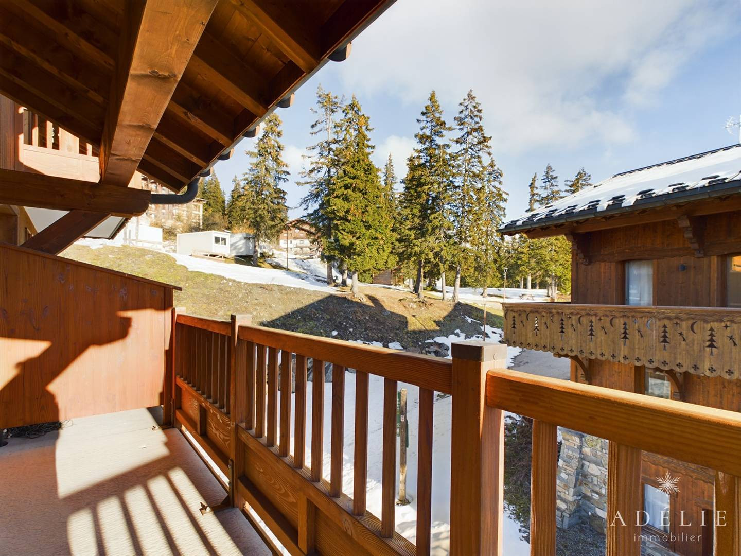 _clients_227370002_photos_221n_4220841