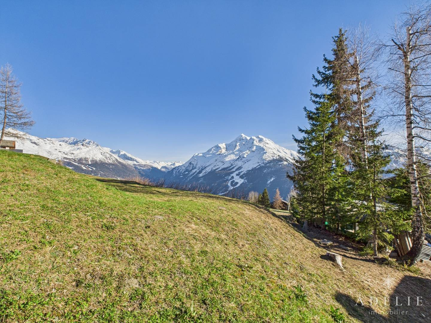 _clients_227370002_photos_246ai_4317660