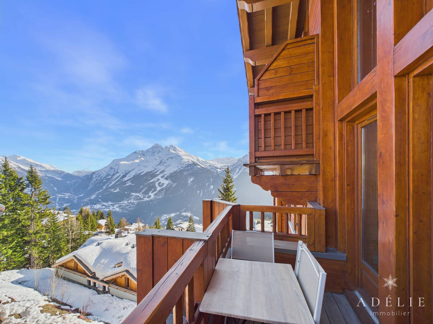 _clients_227370002_photos_255j_4559305