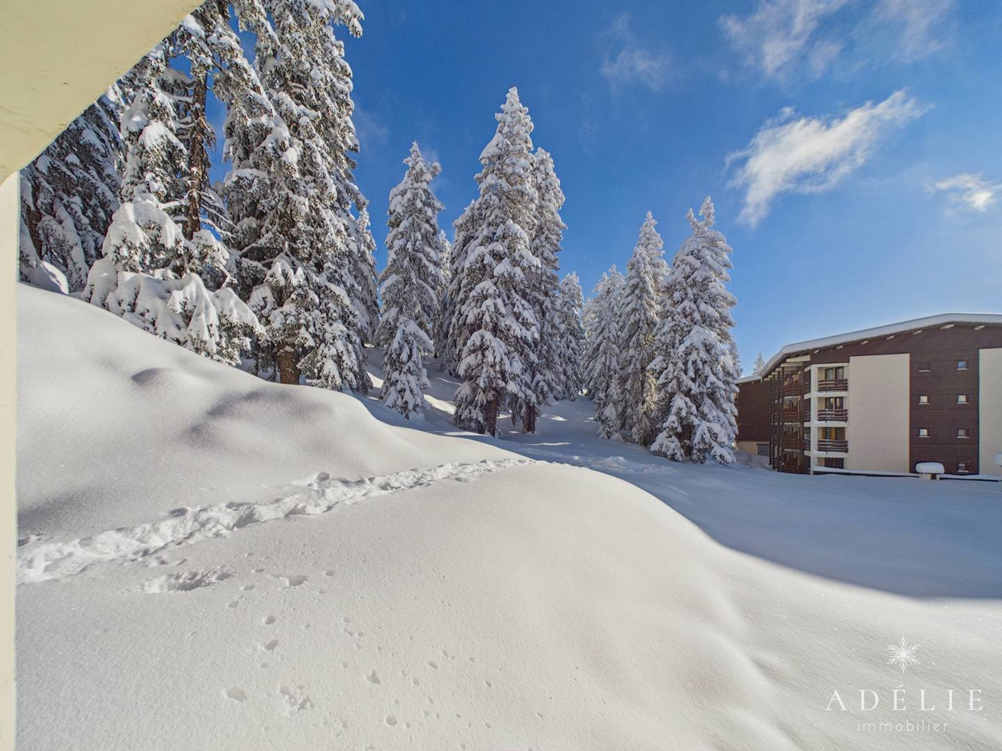 _clients_227370002_photos_281e_4476229