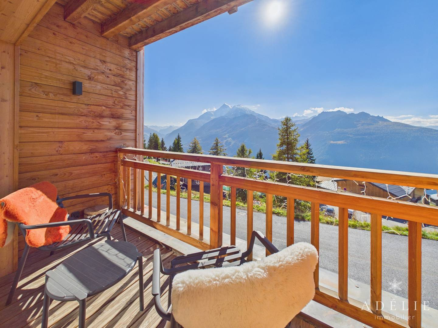 _clients_227370002_photos_296n_4421548