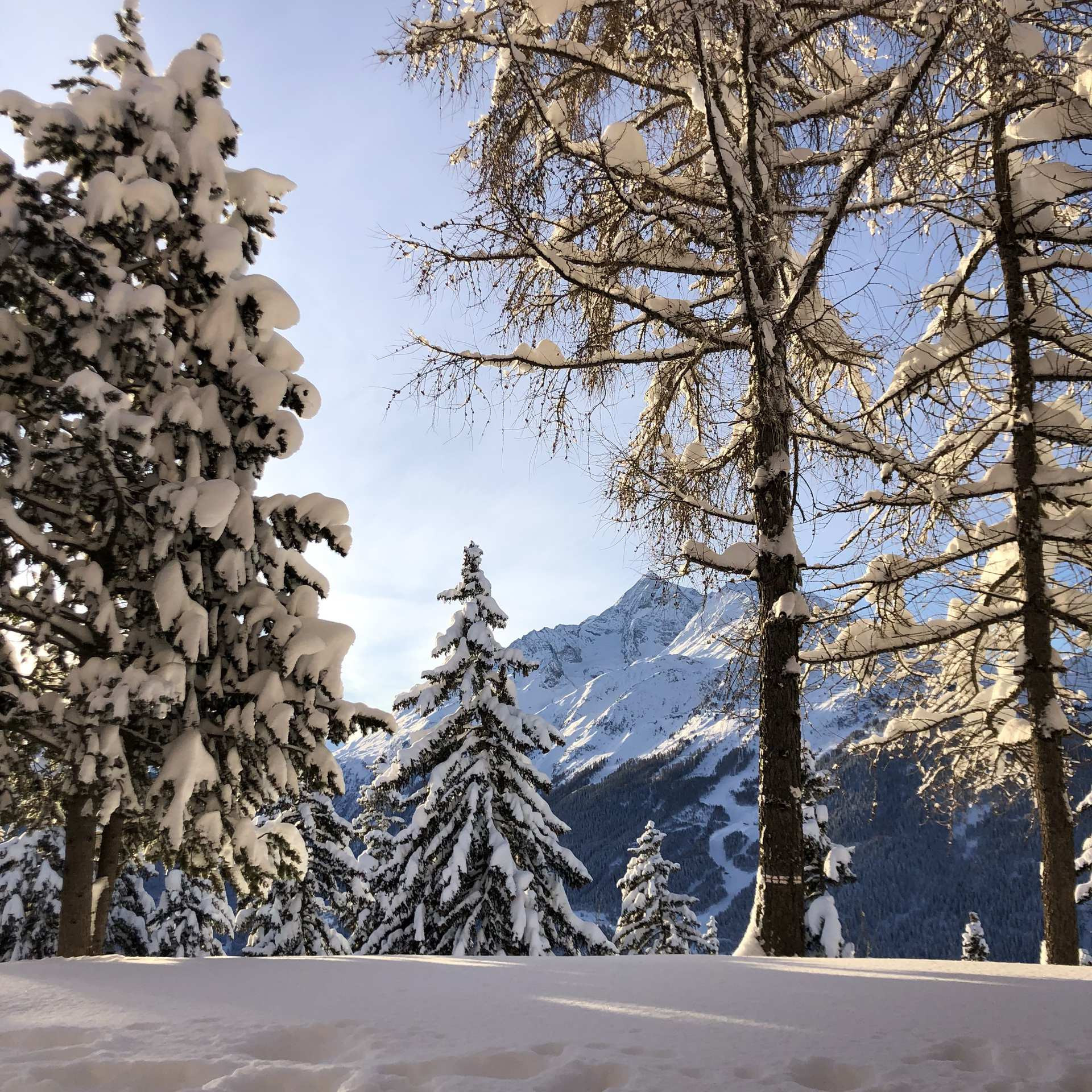 _larosiere-immobilier_lv_images__lot_0000020384_14_4963240