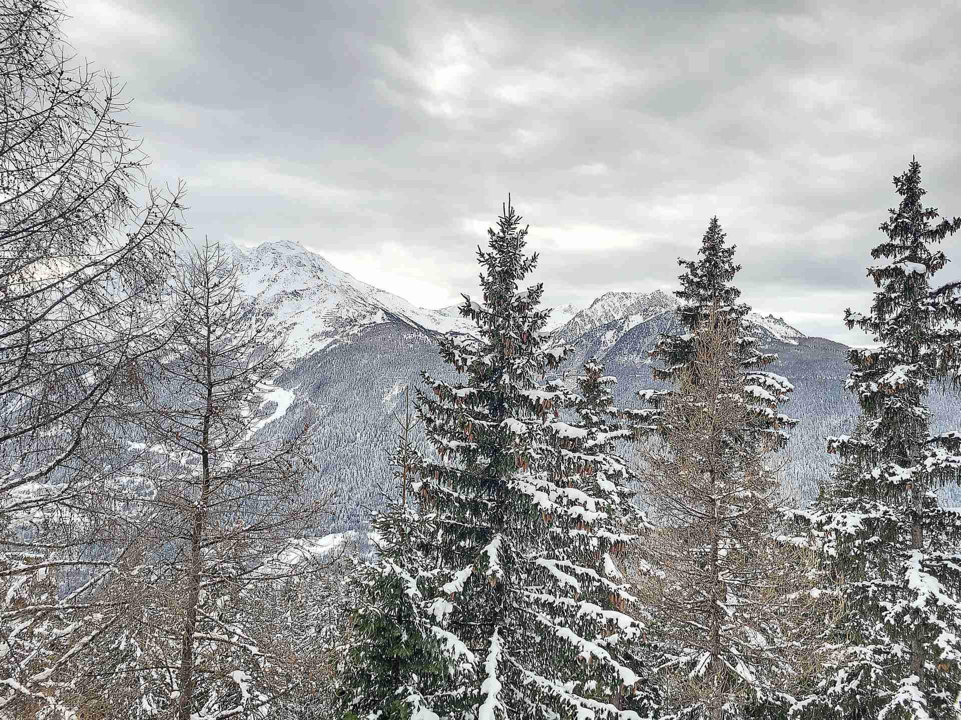 _larosiere-immobilier_lv_images__lot_0000020387_10_4980987 _larosiere-immobilier_lv_images__lot_0000020387_10_4980987