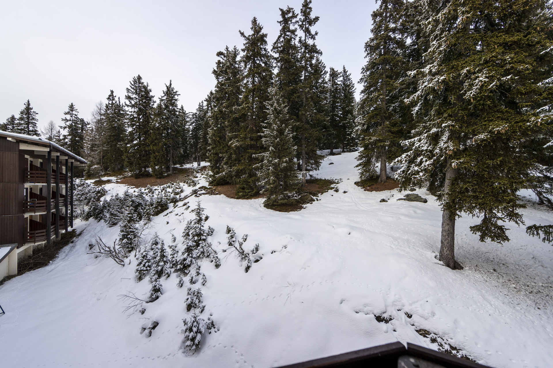 _lv_images__lot_0075553822_09_3567647