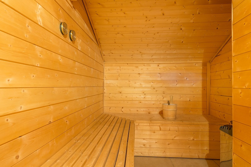 Sauna privé, Appartement APT12A14, Chalet le Refuge, La Rosière, vue 2