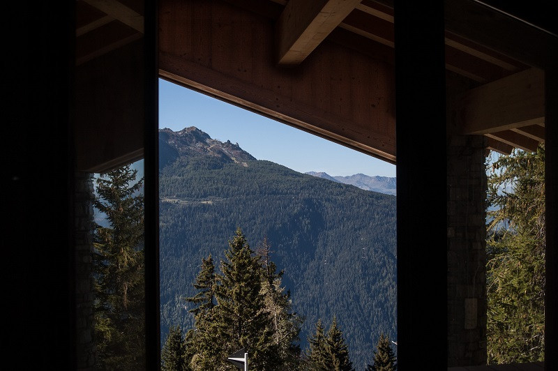 vue-4-540802 vue-4-540802