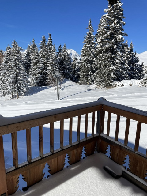 Balcon, chalet L'Ourson à La Rosière avec vue sur la piste de Manessier