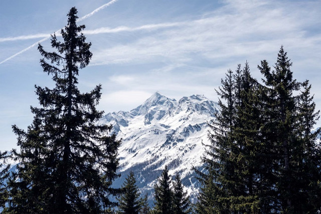 la-rosiere-appartement-1-vue-montagne-richard-roberts-3479919