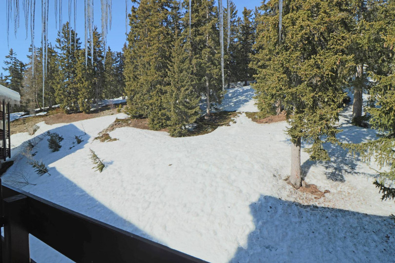 _clients_227370002_photos_140j_4160887 _clients_227370002_photos_140j_4160887