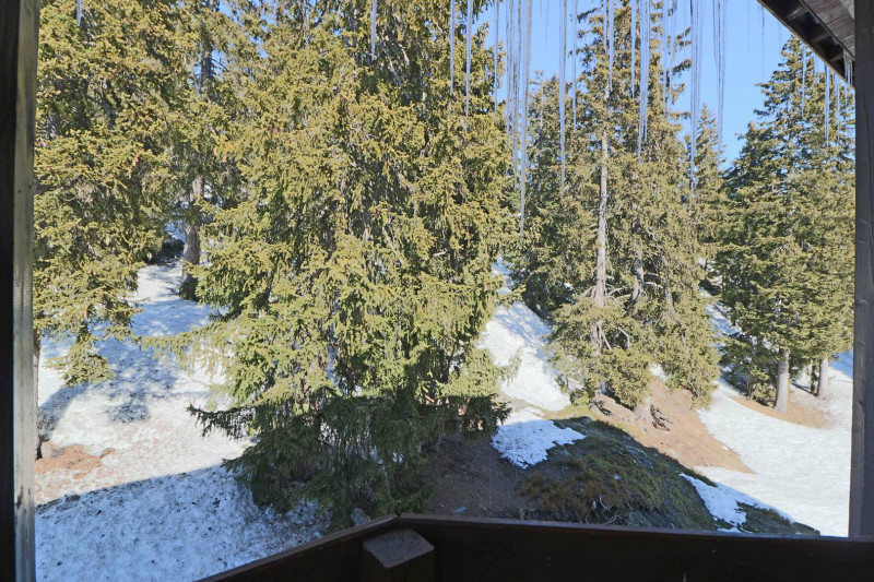 _clients_227370002_photos_140k_4160888 _clients_227370002_photos_140k_4160888