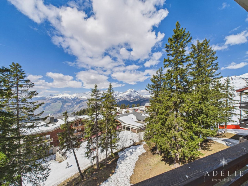 _clients_227370002_photos_152k_4569096 _clients_227370002_photos_152k_4569096