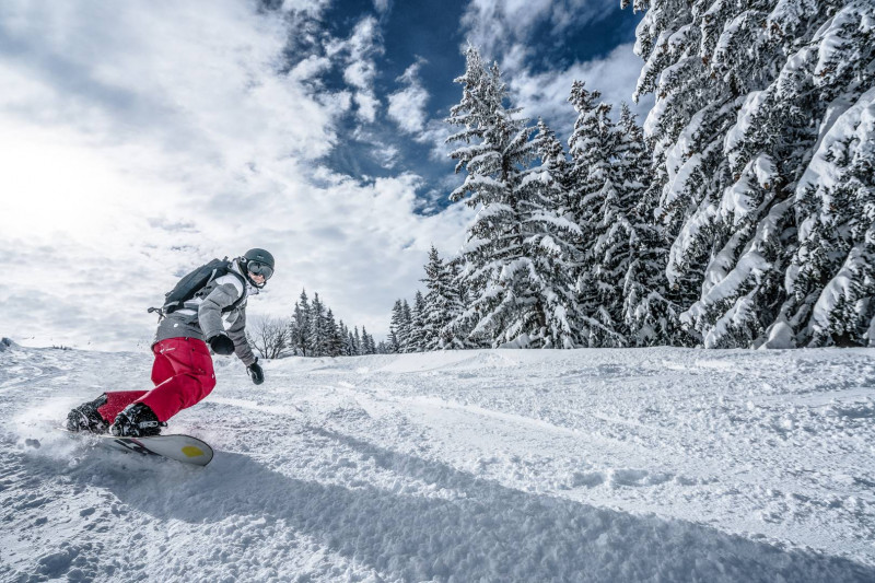 _clients_227370002_photos_156j_5019398