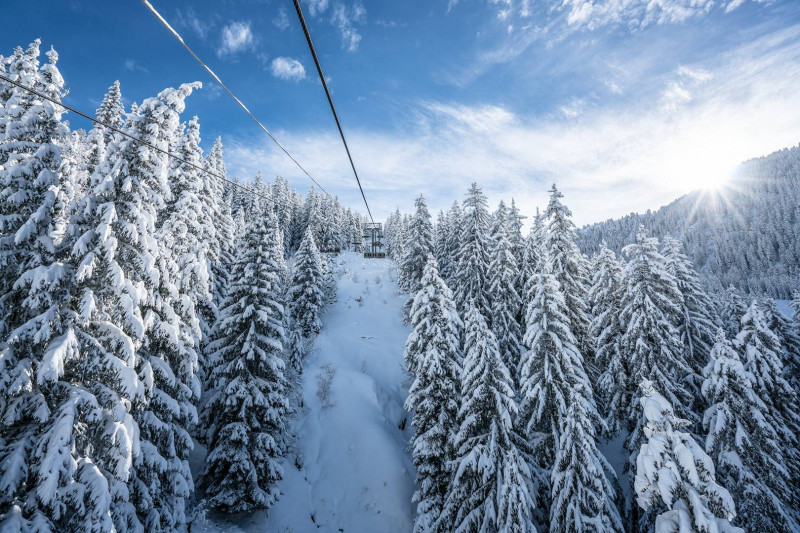 _clients_227370002_photos_157i_5019407 _clients_227370002_photos_157i_5019407