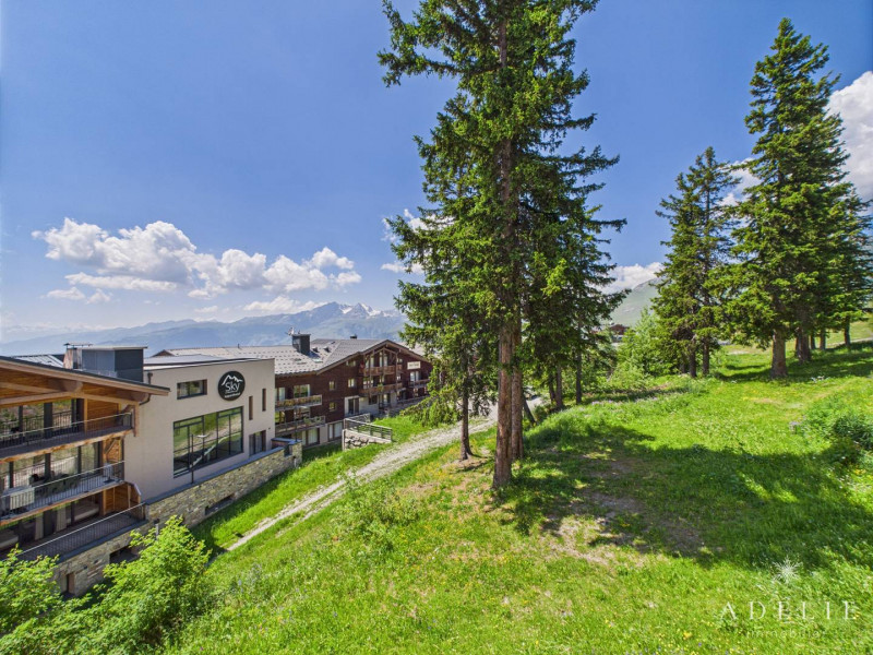 _clients_227370002_photos_159j_4300310 _clients_227370002_photos_159j_4300310