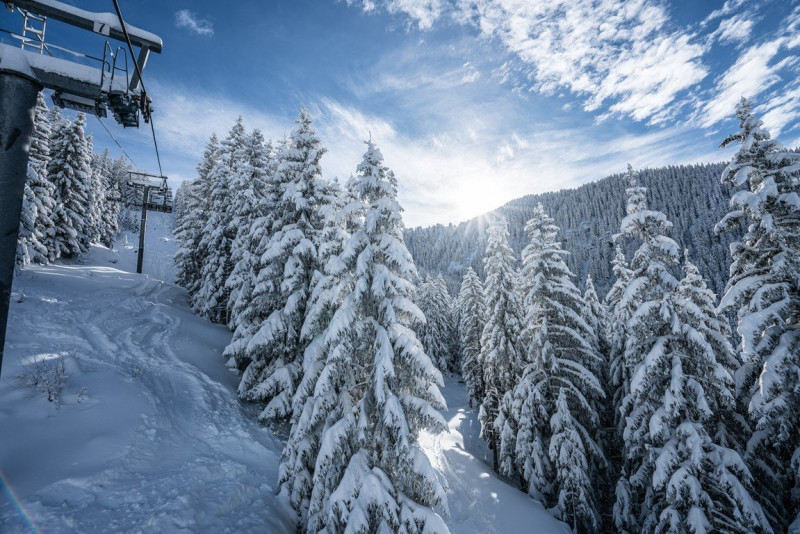 _clients_227370002_photos_241j_4216723 _clients_227370002_photos_241j_4216723