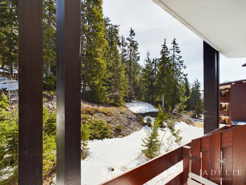 _clients_227370002_photos_241m_4090170