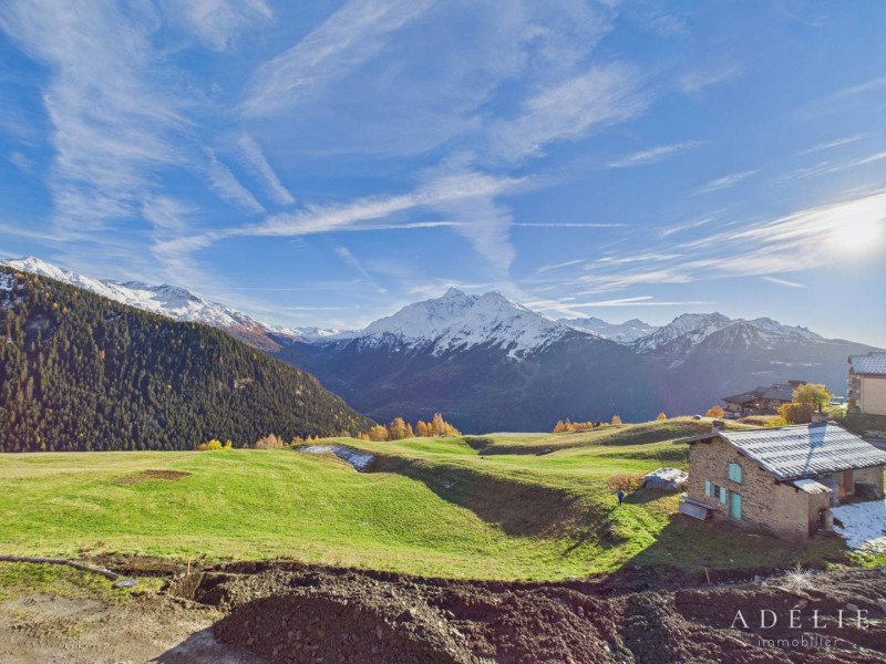 _clients_227370002_photos_249h_4580450 _clients_227370002_photos_249h_4580450