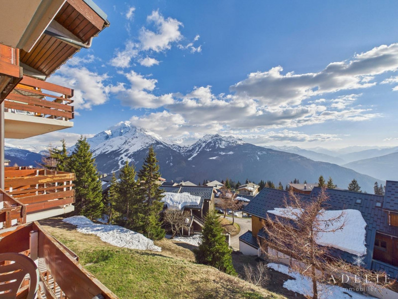 _clients_227370002_photos_25i_4535361 _clients_227370002_photos_25i_4535361