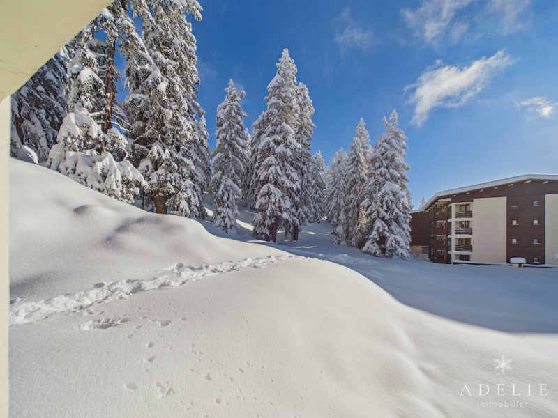 _clients_227370002_photos_281e_4570805