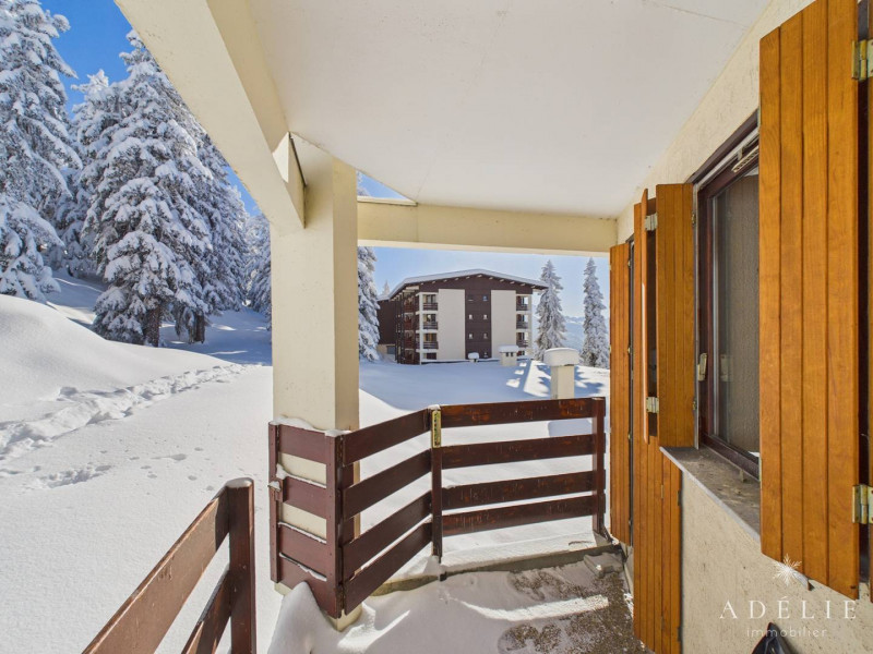 _clients_227370002_photos_281f_4230367 _clients_227370002_photos_281f_4230367