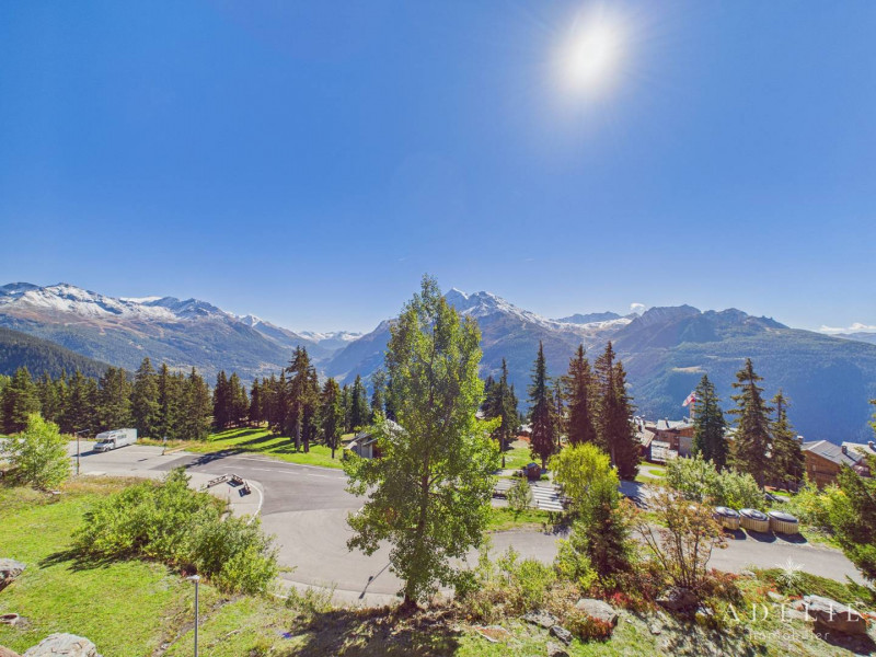 _clients_227370002_photos_282f_4563009 _clients_227370002_photos_282f_4563009