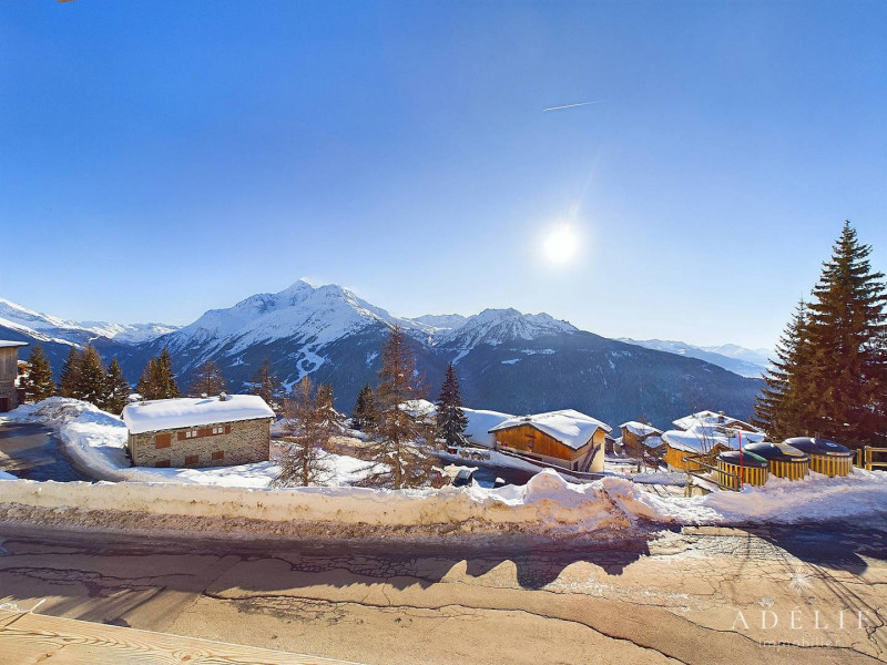 _clients_227370002_photos_293o_4634580