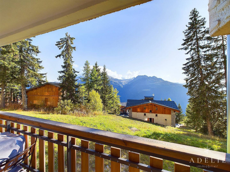 _clients_227370002_photos_294k_4172424 _clients_227370002_photos_294k_4172424