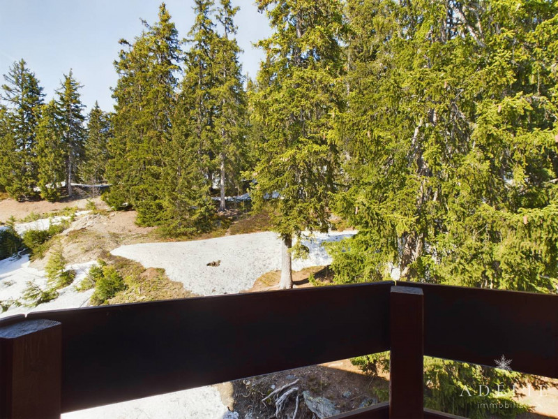 _clients_227370002_photos_35i_4383999