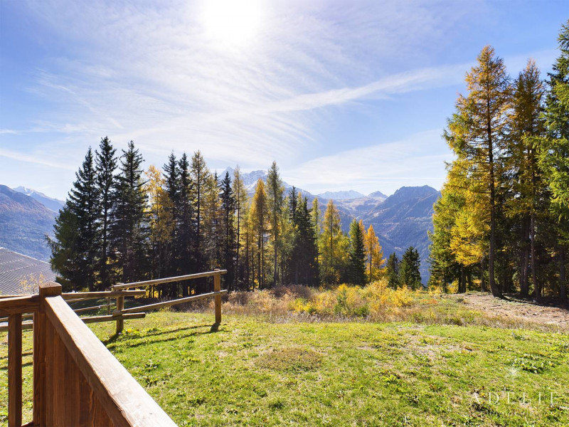 _clients_227370002_photos_90f_4387775