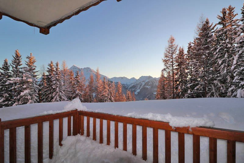 _clients_227370002_photos_90g_4230965 _clients_227370002_photos_90g_4230965